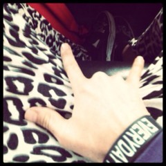 I Am Not A Whore, LMFAO (dirty remix)