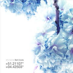 05 Bert Cools - Saulekaita I  (JK's KAMER +51.21107°+04.42503°)