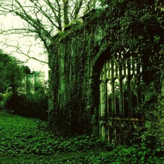 Arrowwood - Under Root A Winding Stair