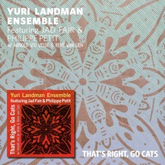 Yuri Landman Ensemble - Soundtrack to a Panic Attack
