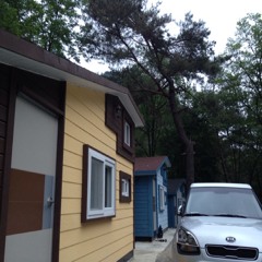 birds sounds in galchun at Galcheon auto camping area