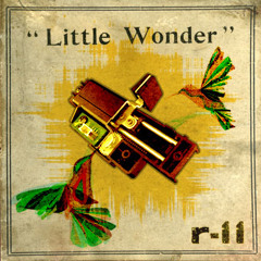 04- R-11(LITTLE WONDER)