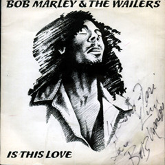 Bob Marley- Is This Love (TwiggaPlz! Remix)
