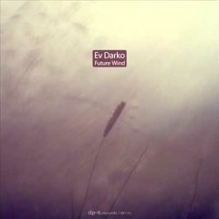 Deep Effect (Original Mix) EV Darko