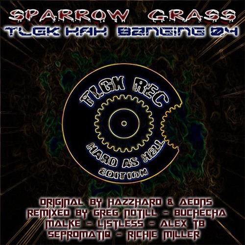 Hazzhard vs Aeons - Sparrow Grass  (Richie Miller RMX) PREVIEW