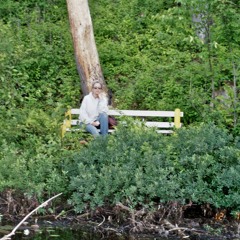 Amphibian rubber band, S pond near Lac MacDonald, night 26V12