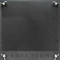 Amon Tobin - Angel Of Theft (Co-Produced By Ghostbeard) / Old Dub Plate