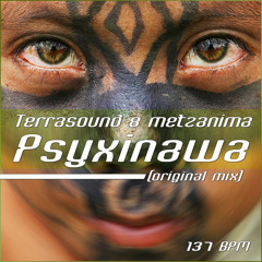 TerraSound & metzAnima - Psyxinawa