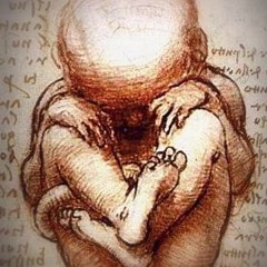 Fauna Noir - Live From Studio A: The KRTU Sessions