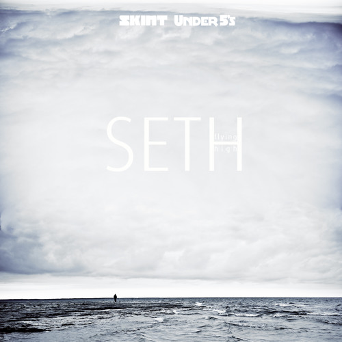 Flying High (Original) [SKINT/UNDER039D ]