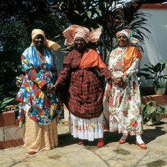 Boy Days (Ugly Animal) (Calipso antillano). Vasallos del Sol