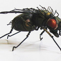 Brainrot, bacon & bottle flies.. New To Slay A Giant project rough demo clip 5/28/12