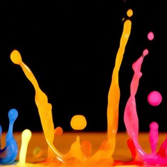 Mr. Chicken - Deluxe