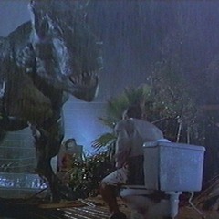 Nunca Antes Vi La Belleza Verdadera