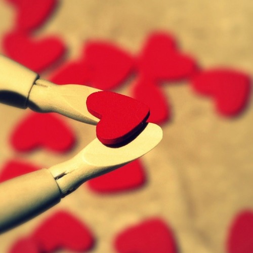 အၿမဲတမ္း − The Ants