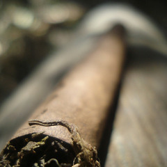 FIRE THE BUD UP (PRODUCED BY JOHNNY JULIANO) (RADIO EDIT) FT. MATT, REZA