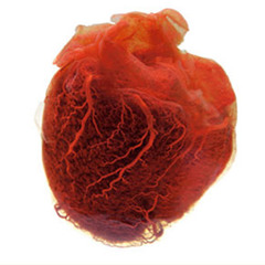 U NEED LUV BB, I NEED LUV BB