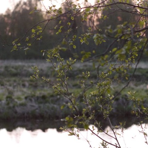 river's edge at dusk, May 14th 10pm