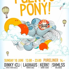 Schmeck Pony Puerto Pony Let's Get Psyched 2012