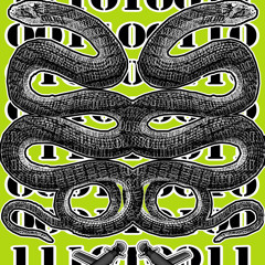 Ruination - .|.51NLV57.|. (Invisible ASPS Remix)