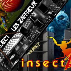 Lyzz-k - Insekt'acid mix at Zaffreux+SunRise 26-05-12