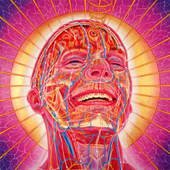 TT Roots - Psychedelic Mind