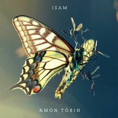 Amon Tobin - Goto 10 (Kryptic Minds Remix)