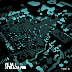 Vitalii Sprezzatura - The Radar (Original Mix)