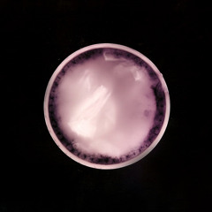 I Need to Start Writing Things Down