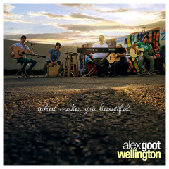 Alex Goot - What Makes You Beautiful (featuring Wellington & Dave Days)