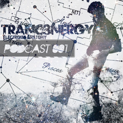 Tranc3nergY's Electronic Anatomy PODCAST # 001