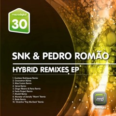 SNK&Pedro Romao -  Hybrid(Groovotron Remix) MIC30
