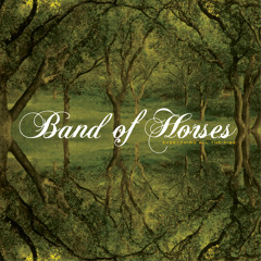 Band Of Horses - The Funeral (Sound Remedy Remix)