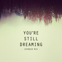 "You're still dreaming" mix