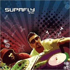 Catch Me When I'm Falling (Denzal Park Mix), Supafly Inc