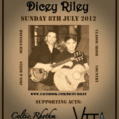 Step it out Mary by Dicey Riley