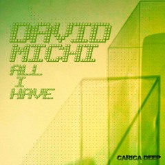 David Michi - All I Have (Bal& Remix) [Carica Deep]