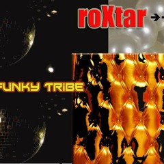 ROXTAR -Funkytown 2010- Funky Tribe (Radio Edit)