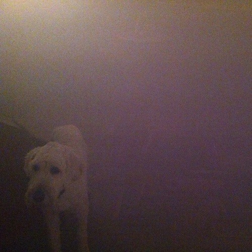 Oneohtrix Point Never w/ Limpe Fuchs - Replica (Matmos Remix)
