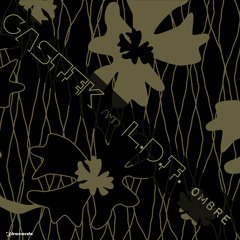Gastek and L.D.F. - Ombre (Original Mix)