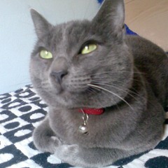 Stewie, My Friend