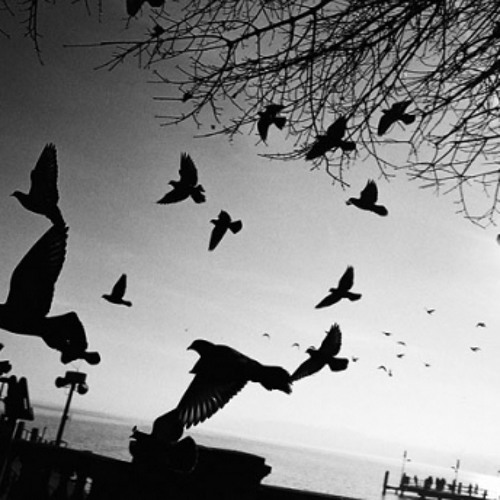 Cr7z - Haltet die Welt an / Fly away (InstinkTBeatZ - RMX - Exclusive)