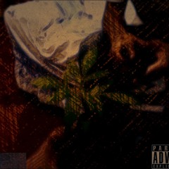 Concepto aHche ,, Inadaptado