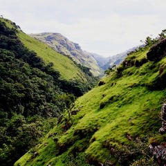 Guy Buttery - Umtamvuna