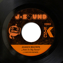 James Brown - Ants In my Pants ( J- Sound Mix )