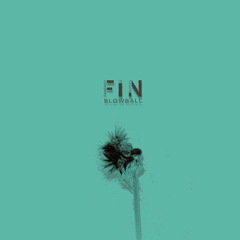 F.I.N. - Height
