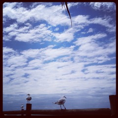 Blake Thompson - Brittle Texture (ft. Decoder Ring)