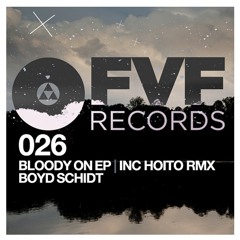 01. Boyd Schidt - Bad Birds Around Me