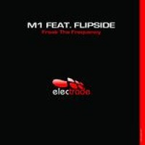 M1(Matteo DiMarr)& MC Flipside-Freak the frequency