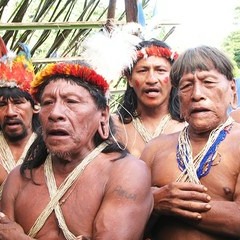 Stop Destroying Yasuni Rainforest-